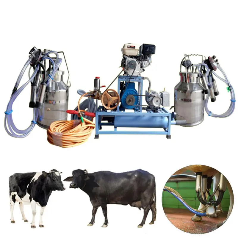 Double Bucket (25Lx2) Milking Machine with 3HP Motor, 6.5HP Engine and HTP 